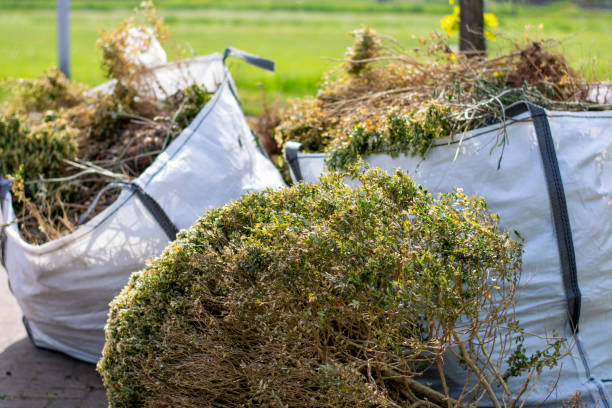 Best Moving and Downsizing Cleanouts  in Peosta, IA