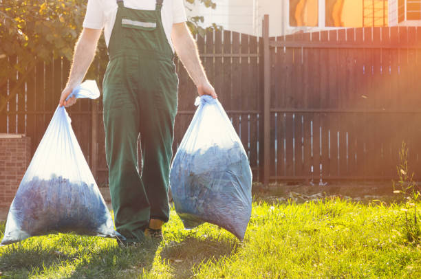 Best Recycling Services for Junk  in Peosta, IA